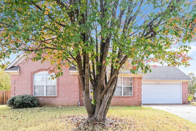Building Photo - 4155 Shadow Oaks Dr