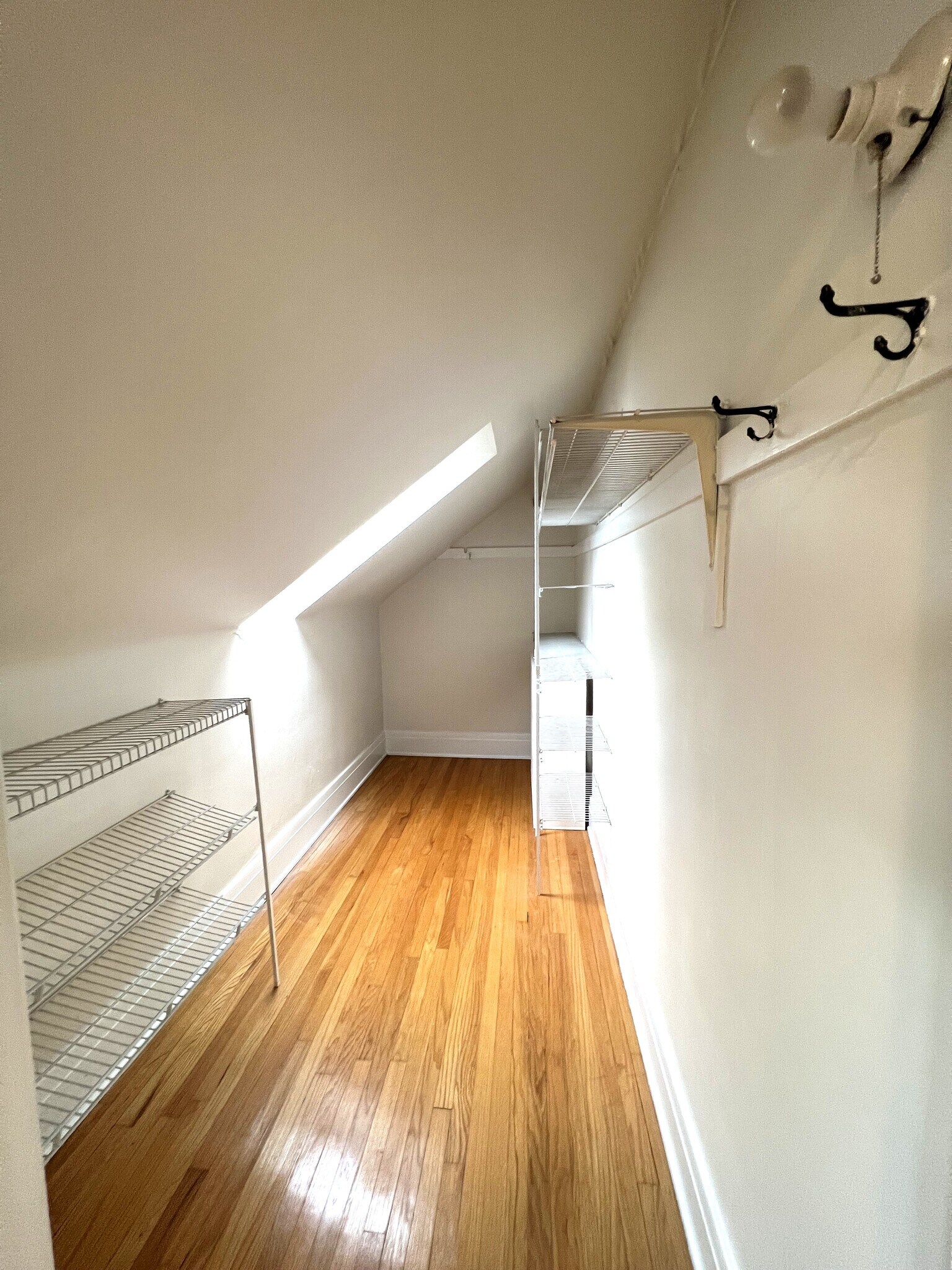 Bedroom Walk-in Closet with skylight - 61 Hirschfield Dr