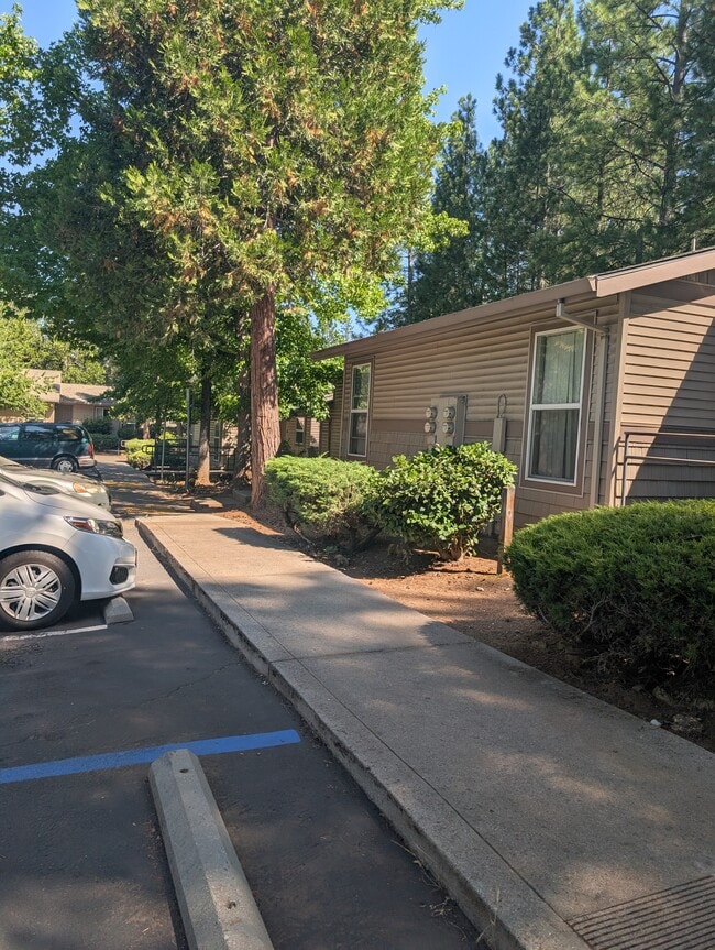 Building Photo - Springhill Gardens Apartments