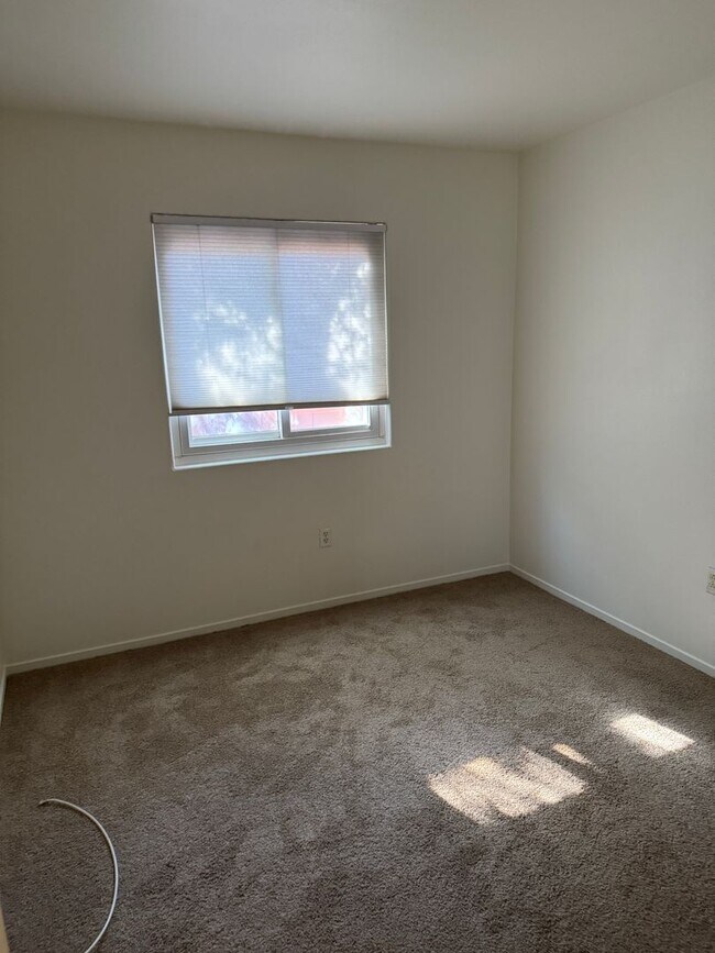 Building Photo - New Carpet and Fresh Paint