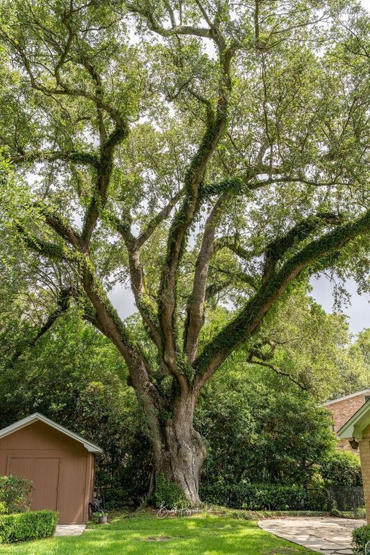 Building Photo - 6395 Duquesne Dr