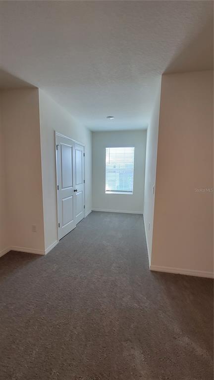 Building Photo - 32173 Turtle Grace Lp
