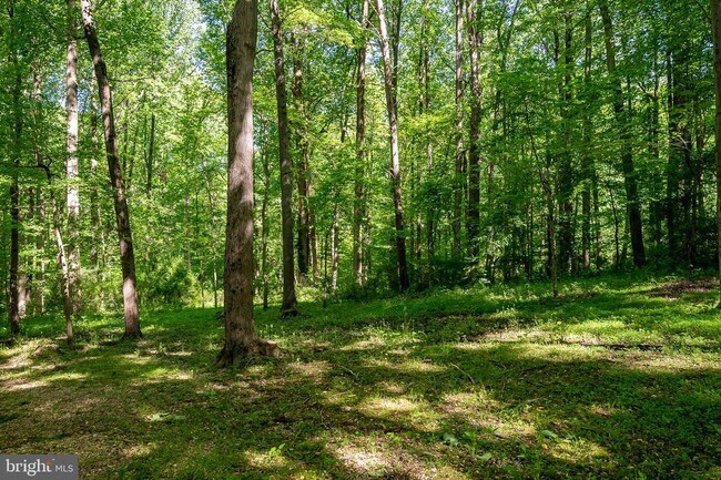 Building Photo - 11150 Wood Elves Way