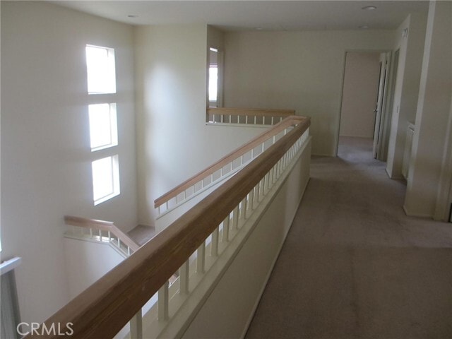 Building Photo - 5 Belcanto