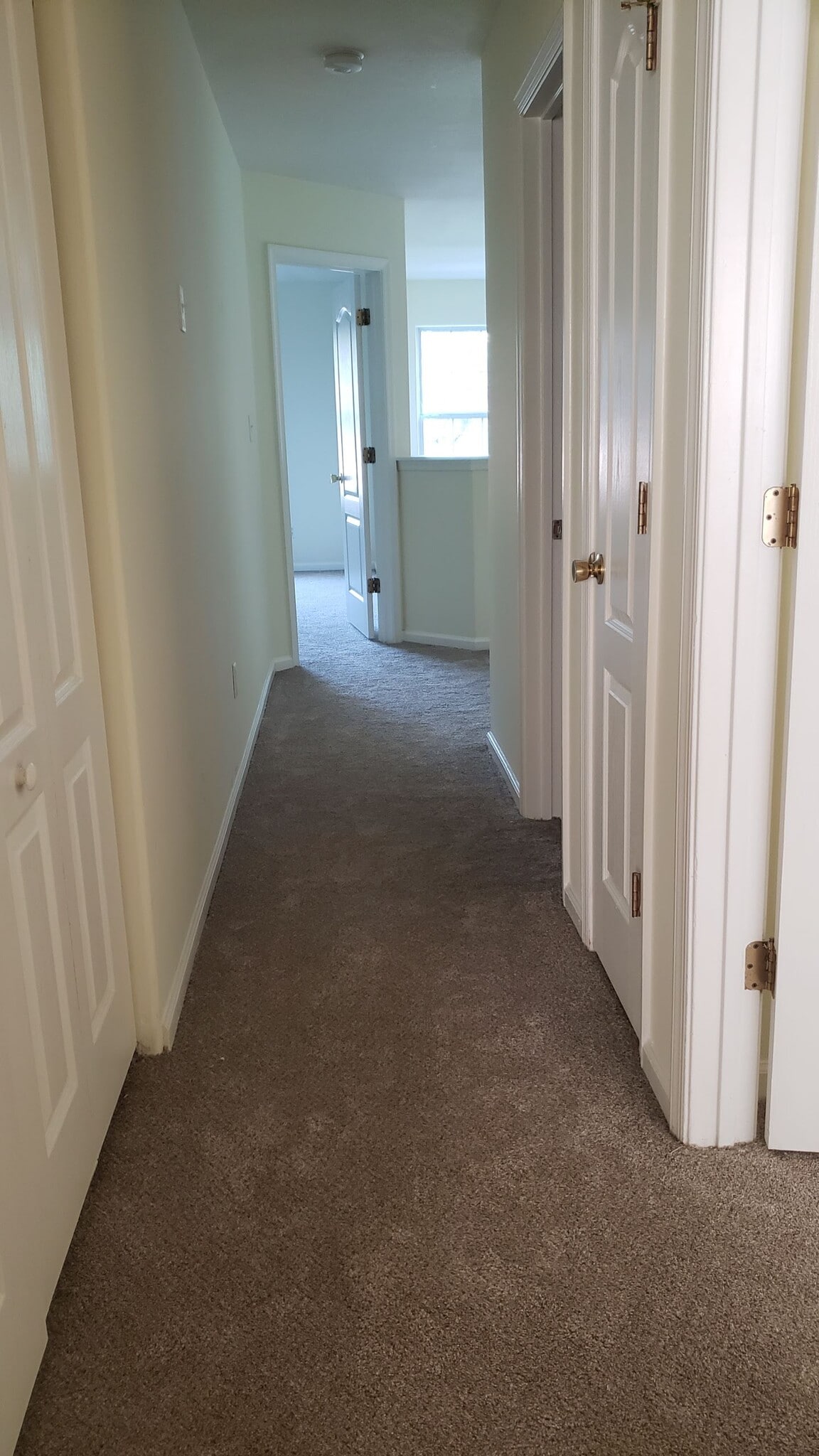 Laundry Room on Left - 2015 Livingston St