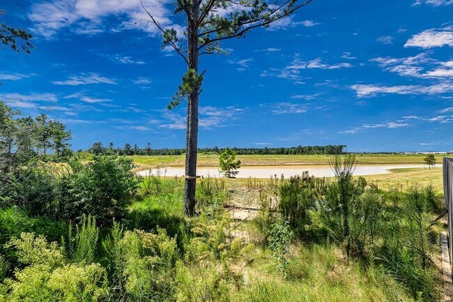 Building Photo - 7138 Clearwater Cv Dr