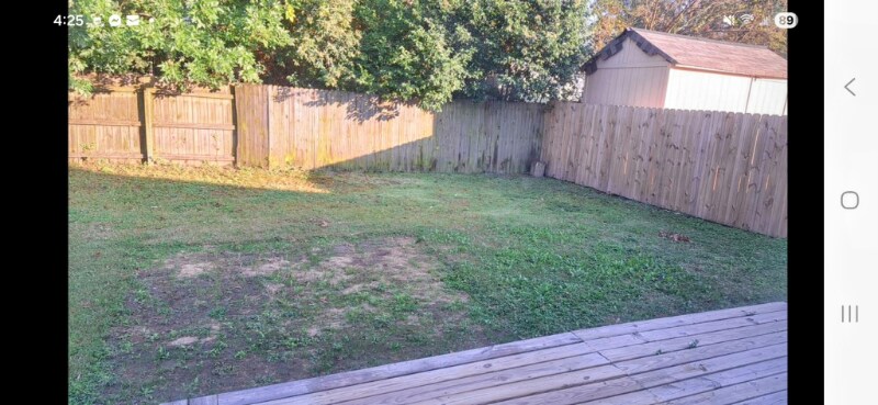 Building Photo - 1732 Delaney St