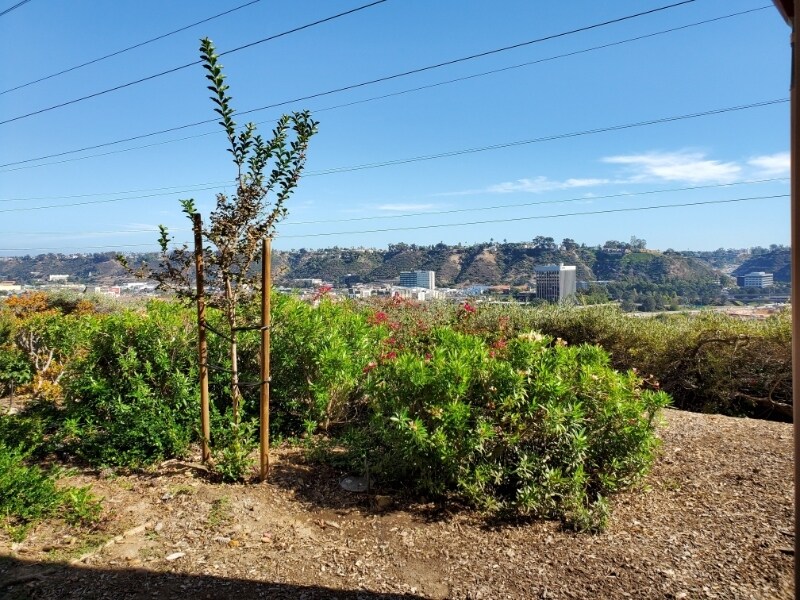 Building Photo - 7047 Camino Degrazia