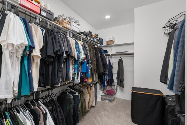 Building Photo - 3030 Live Oak St