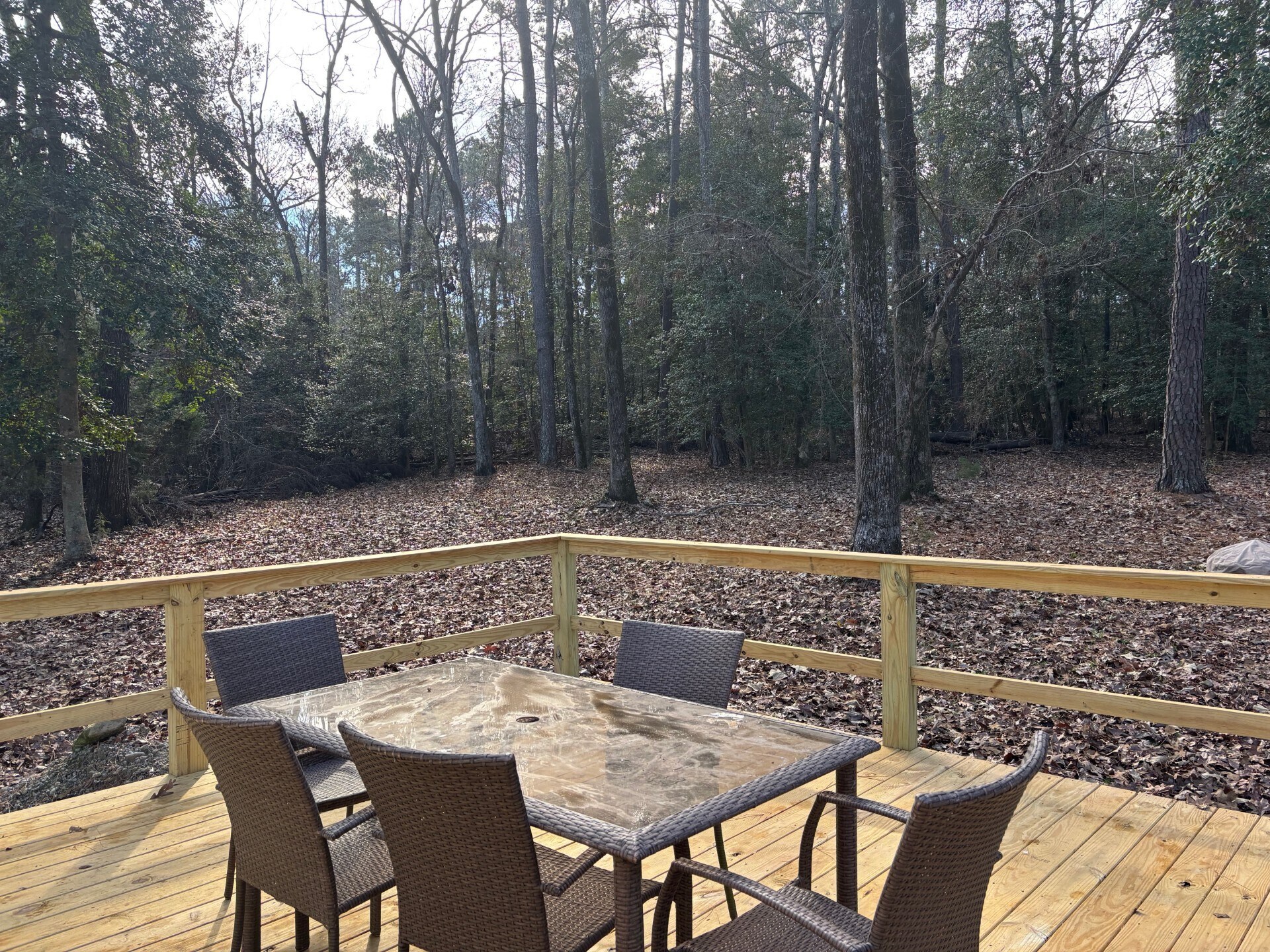 Building Photo - 61 Duckbill Rd