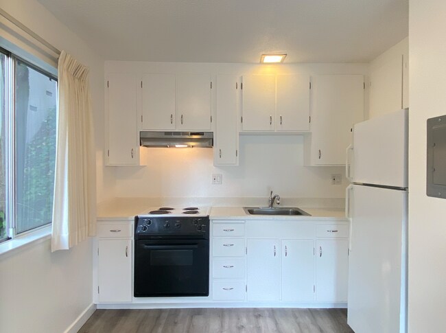 Building Photo - HUGE Stunning Remodeled 1BR/1BA Flat! Parking! -PROGRESSIVE