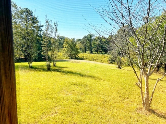 Building Photo - 3 bed/2 bath Country Home