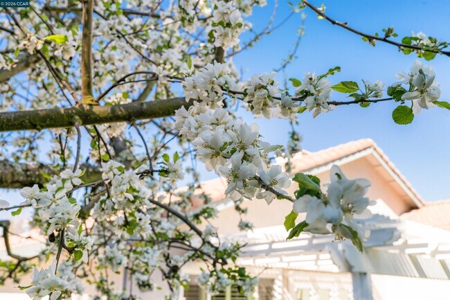 Building Photo - 313 Deepcreek Ct