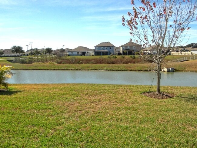 Building Photo - Spacious 4/3/3 home in Mirada