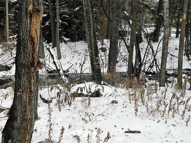 Building Photo - Long Term Rental- Creekside Condominiums #20C - UNFURNISHED