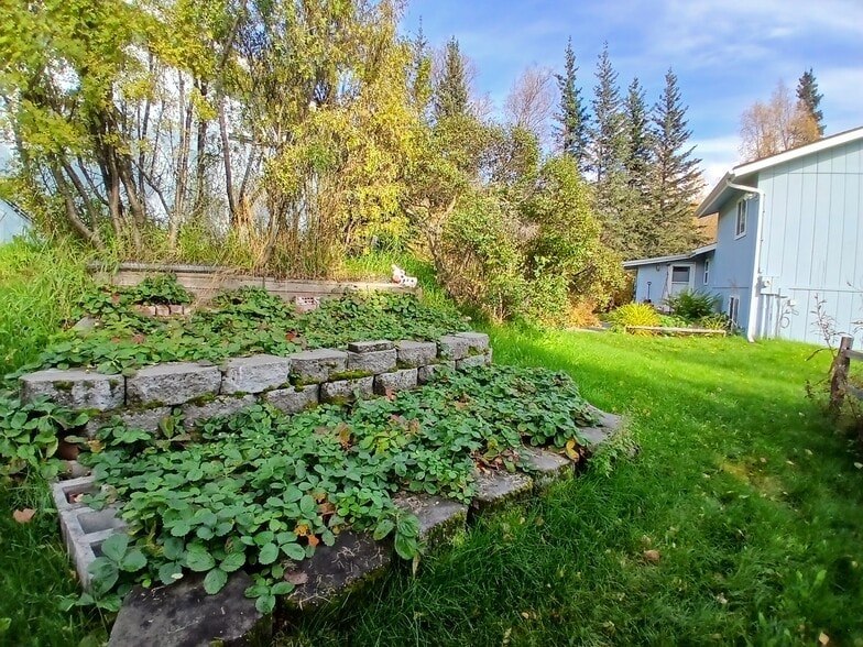 strawberry patch - 15160 E Robin Ln