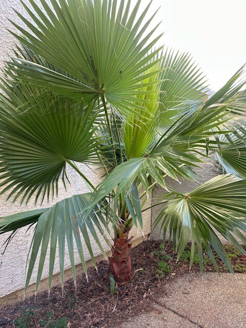 Building Photo - 5526 Cabrillo Way