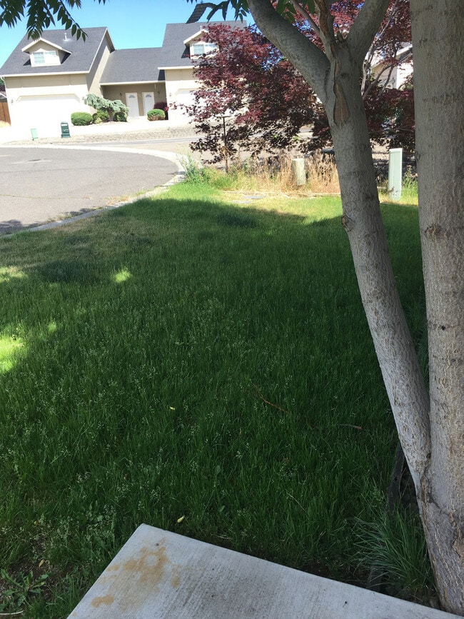 Primary Photo - Your Terrace Heights Retreat- Spacious com...