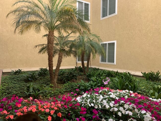 Corner Garden area - 8500 Falmouth Ave