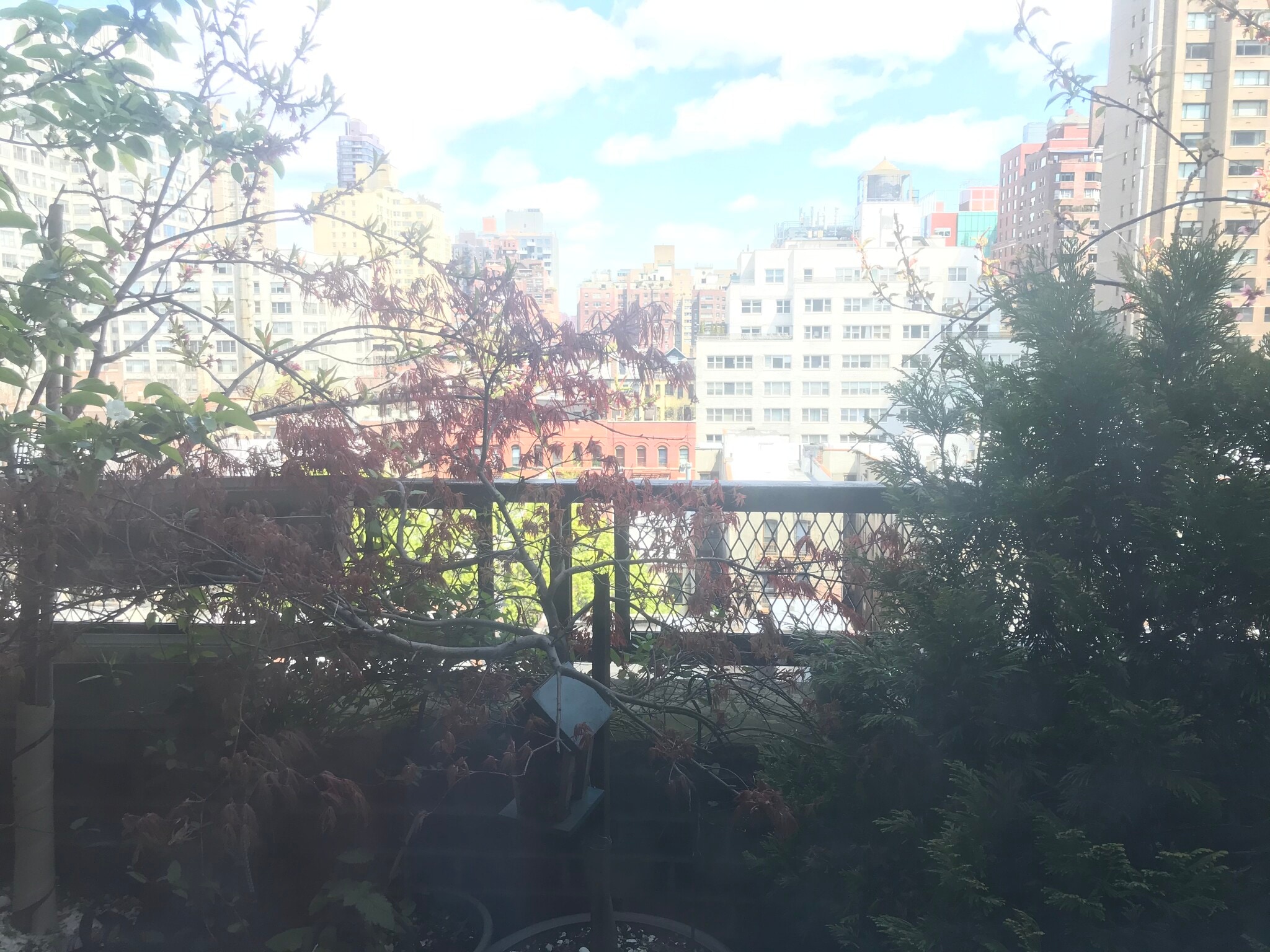 View from terrace - 520 E 81st St