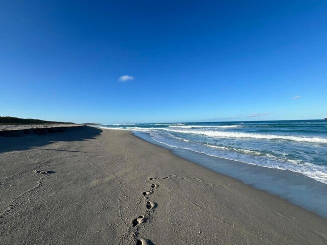 Building Photo - 5420 N Ocean Dr