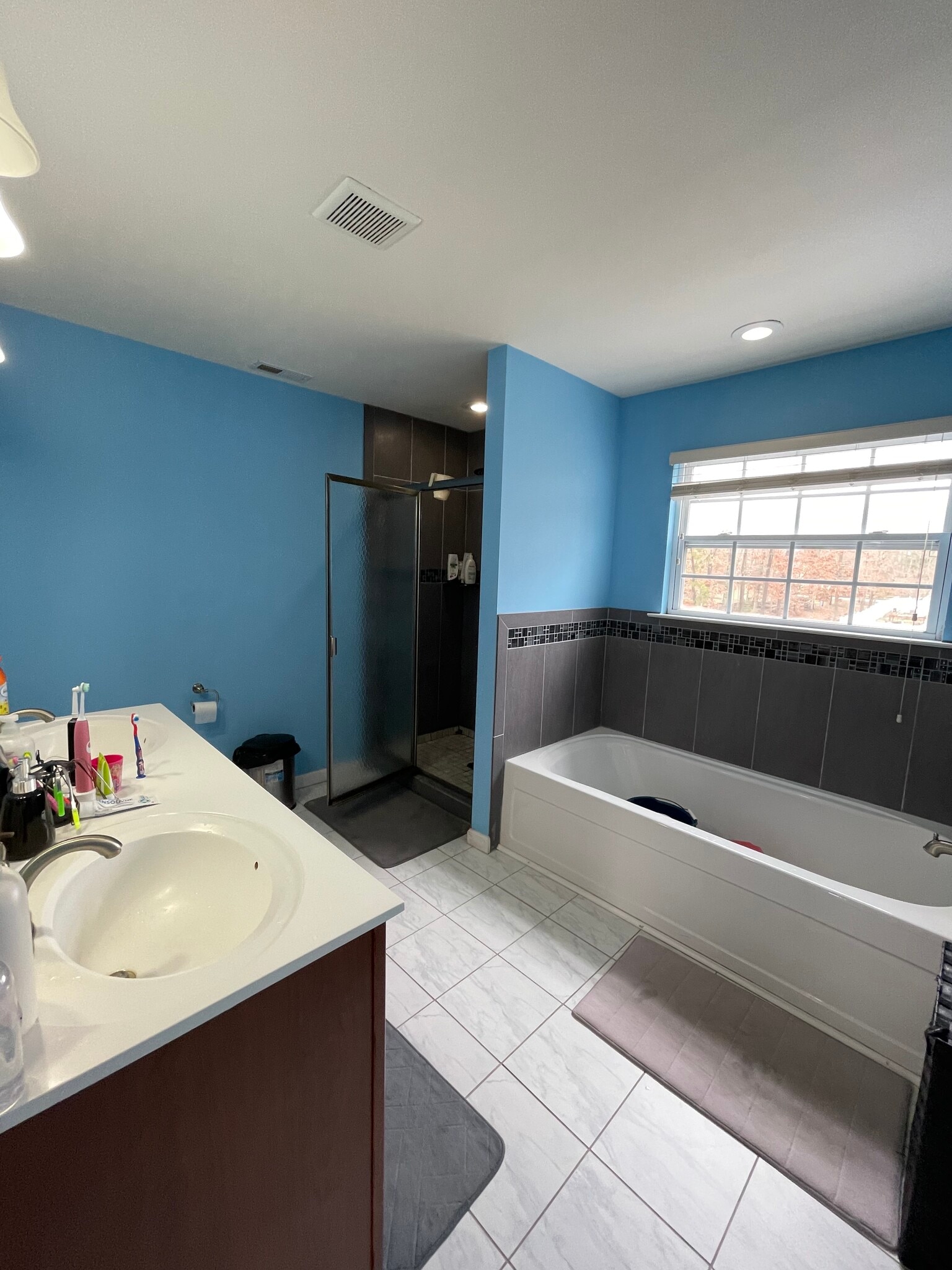 Master Bath w/tub - 259 E Oakbourne Ave