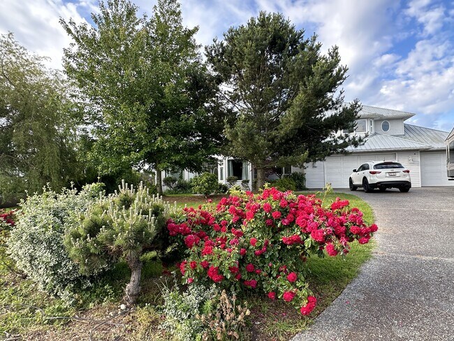 Building Photo - 1541 Ocean View Ln