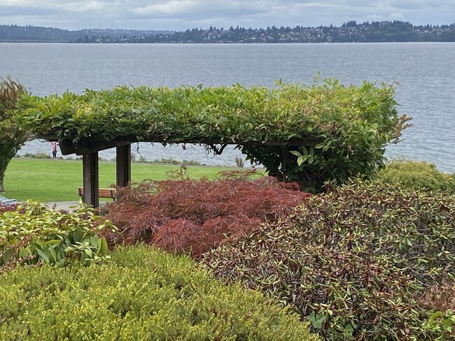 Trellis and Lake beyond - 6620 Lake Washington Blvd NE