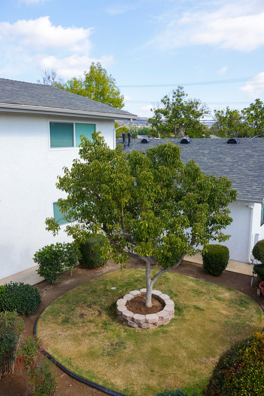 Building Photo - 4615 Lakeview Ave