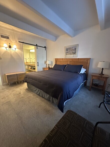 Primary bedroom - 700 Snowberry Ln