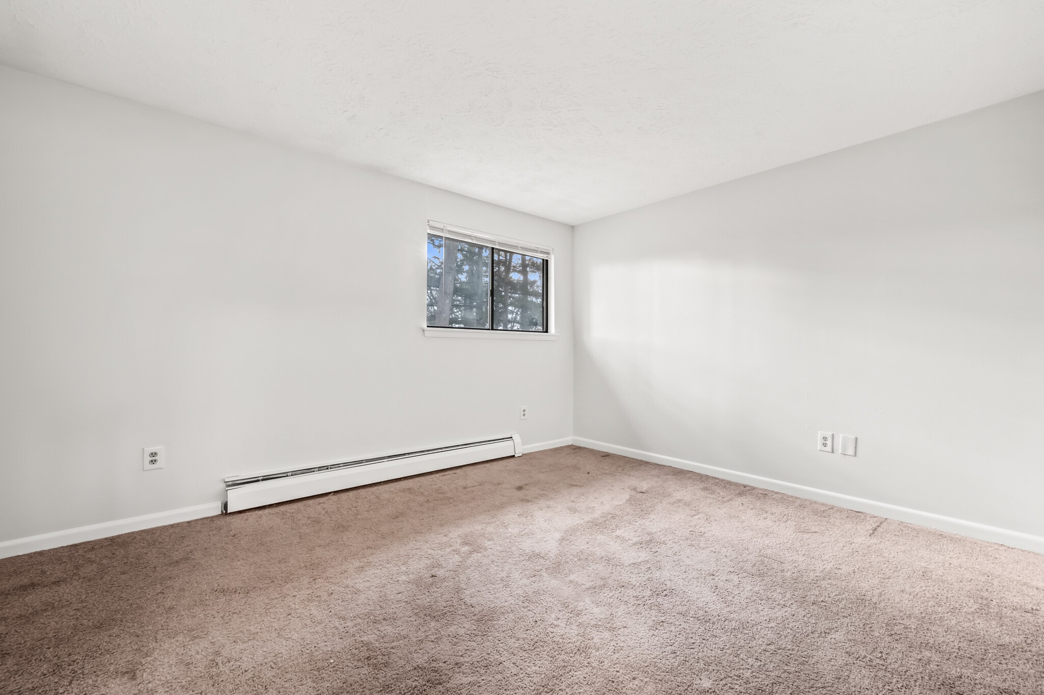 Building Photo - 343 Oakland St