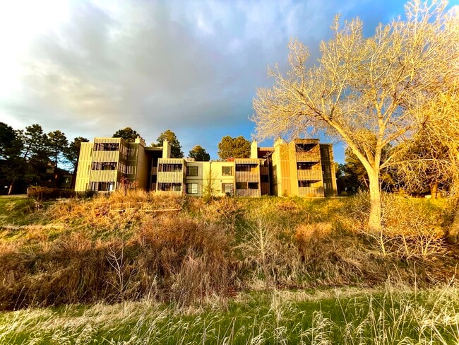 Enjoy a beautiful condominium complex, filled with trees, gardens, and vegetation - 2525 S Dayton Way