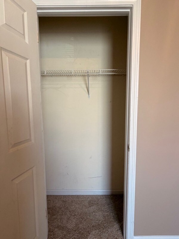 Building Photo - 229 Stonewood Dr