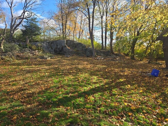 Building Photo - 19 Downer St