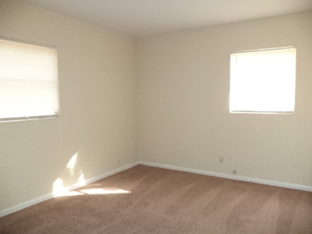 Building Photo - FOREST HILLS - FENCED YARD