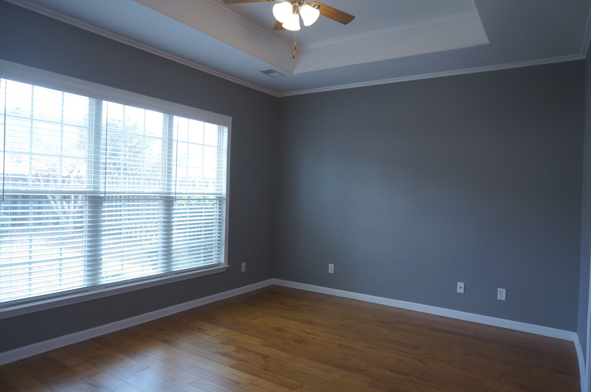 Primary Bedroom - 123 Somersby Blvd