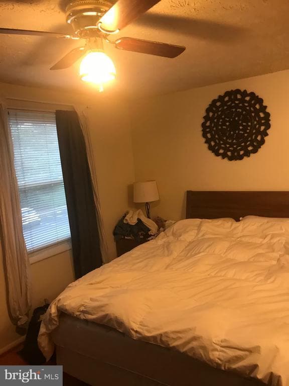 Building Photo - 8320 Brookvale Ct