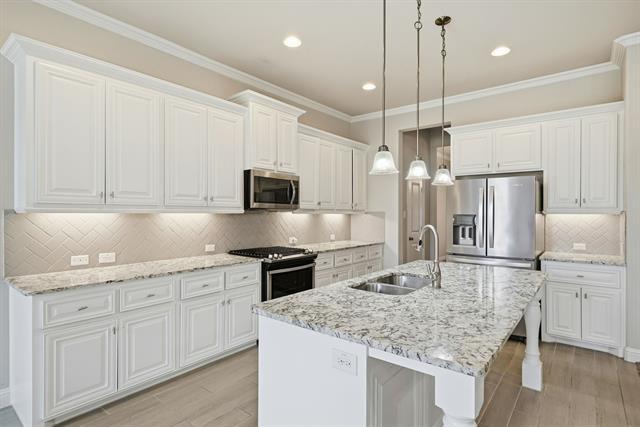 Building Photo - 513 Mistflower Springs Dr