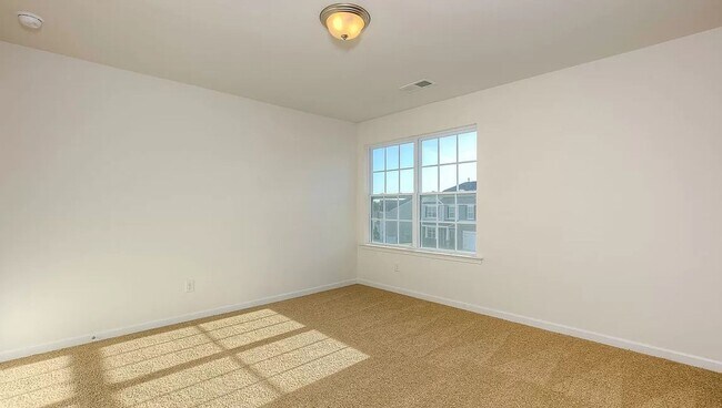 Building Photo - Spacious Newer Construction In Candler
