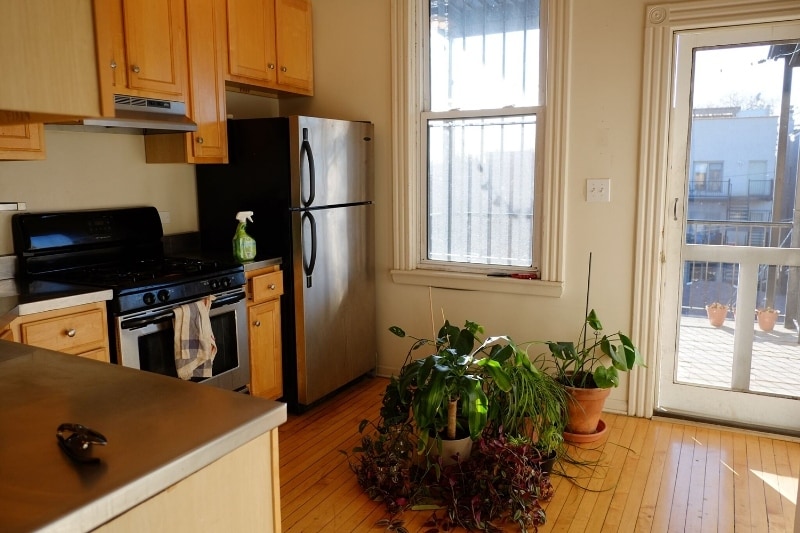 Building Photo - 1238 N Campbell Ave