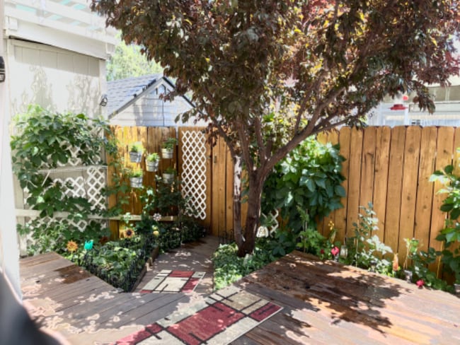 Building Photo - 1349 El Dorado Dr