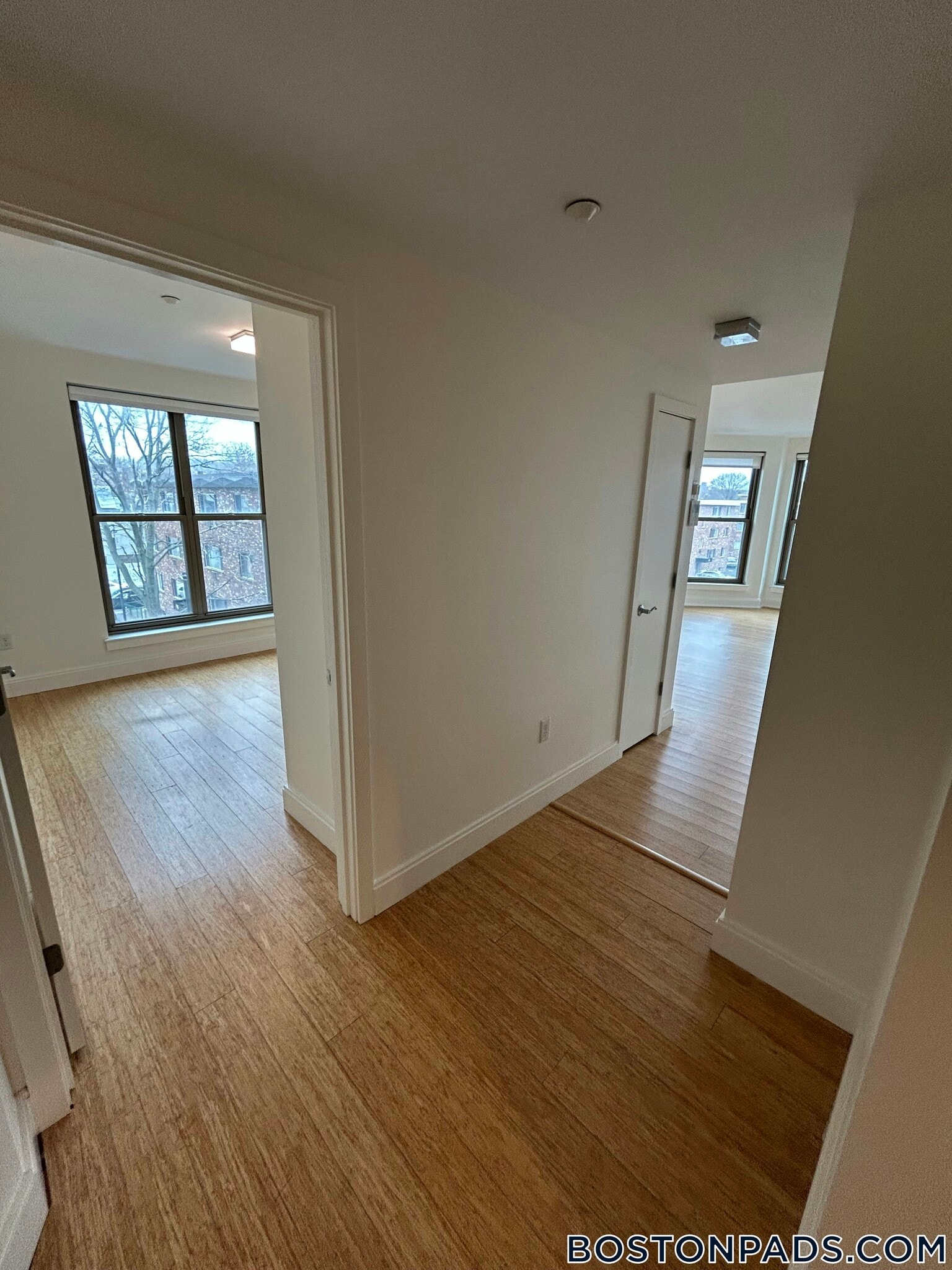 Building Photo - 40 Malvern St