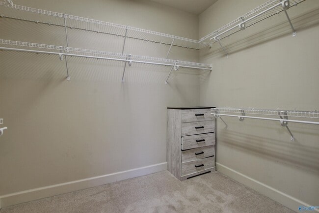 Building Photo - 976 Tracey Ln