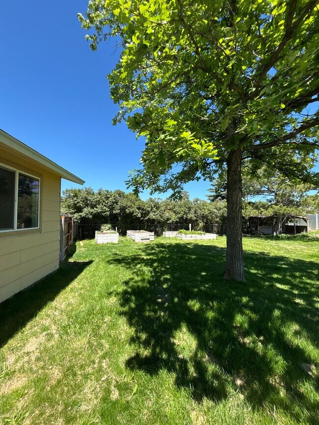Building Photo - Charming 3 Bed, 1 Bath Home in Idaho Falls!