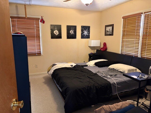 Building Photo - 253 Briar Rose Trl