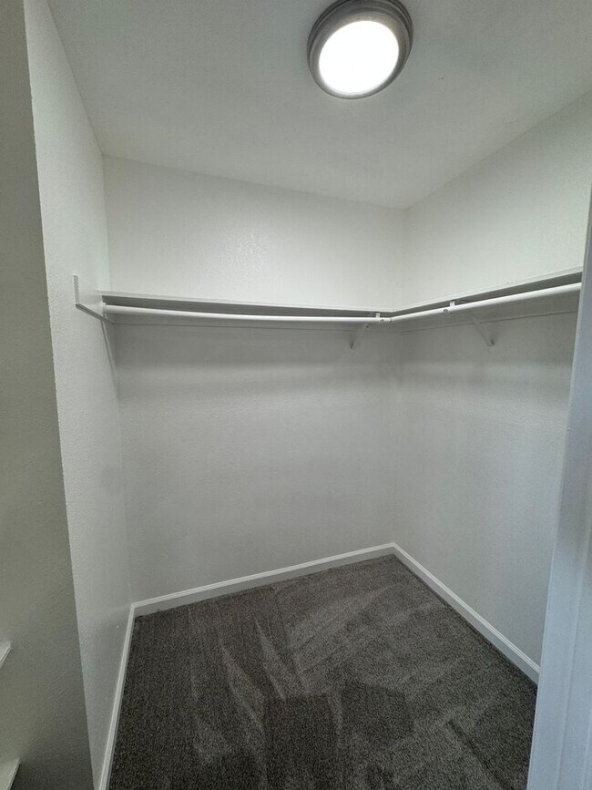 Building Photo - Downstairs 2 bed, 1 bath newly remolded unit coming soon!!