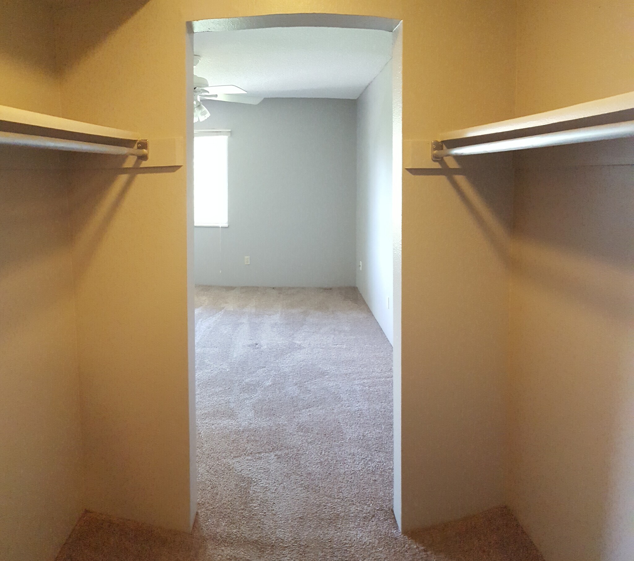 Building Photo - 5110 Williams Fork Trl