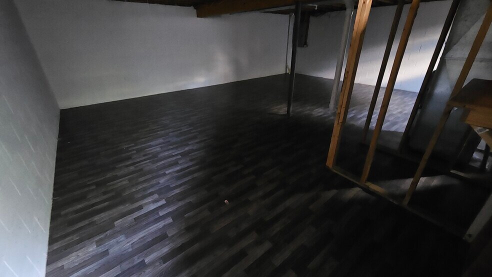 Basement - 101 Courtright East Rd