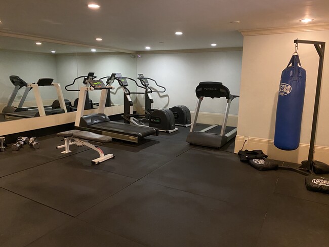 Gym - 1154 S Barrington Ave
