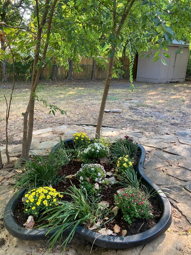 Backyard - 1704 W Birge St